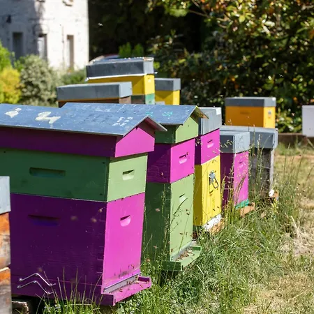 Feriehus La Porte D'arcy - Grand Jardin Et Piscine Partagee *